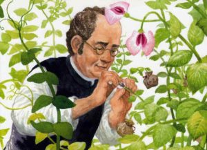 svećenici znanstvenici. Gregor Mendel