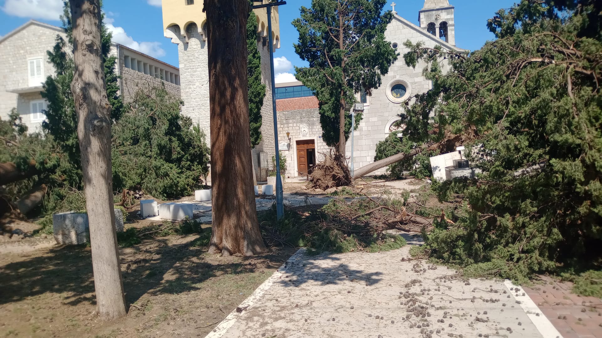Nevrijeme u Splitu / Iščupana stabla u perivoju franjevačkog samostana sv. Ante