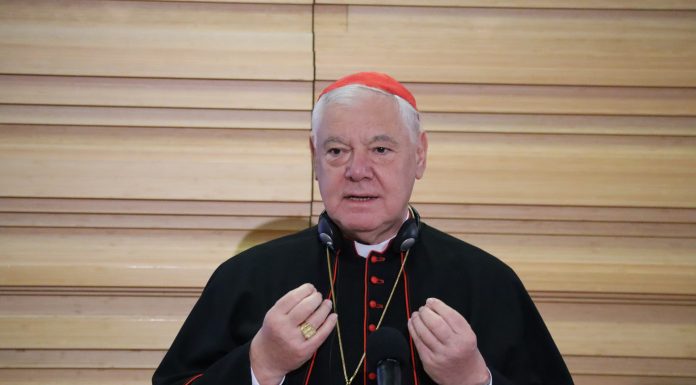 kardinal Gerhard Ludwig Müller / Foto: IKA