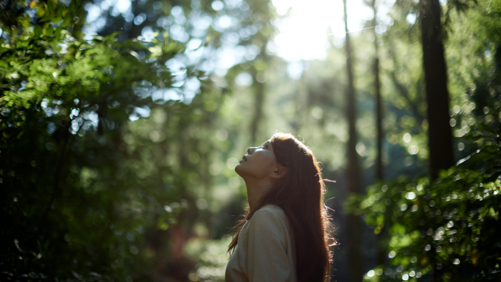 FRA MARIN KARAČIĆ Otkad je vulgarno postalo lijepo? NASLOVNE ZA PORTAL 2025 09 18T140717.334