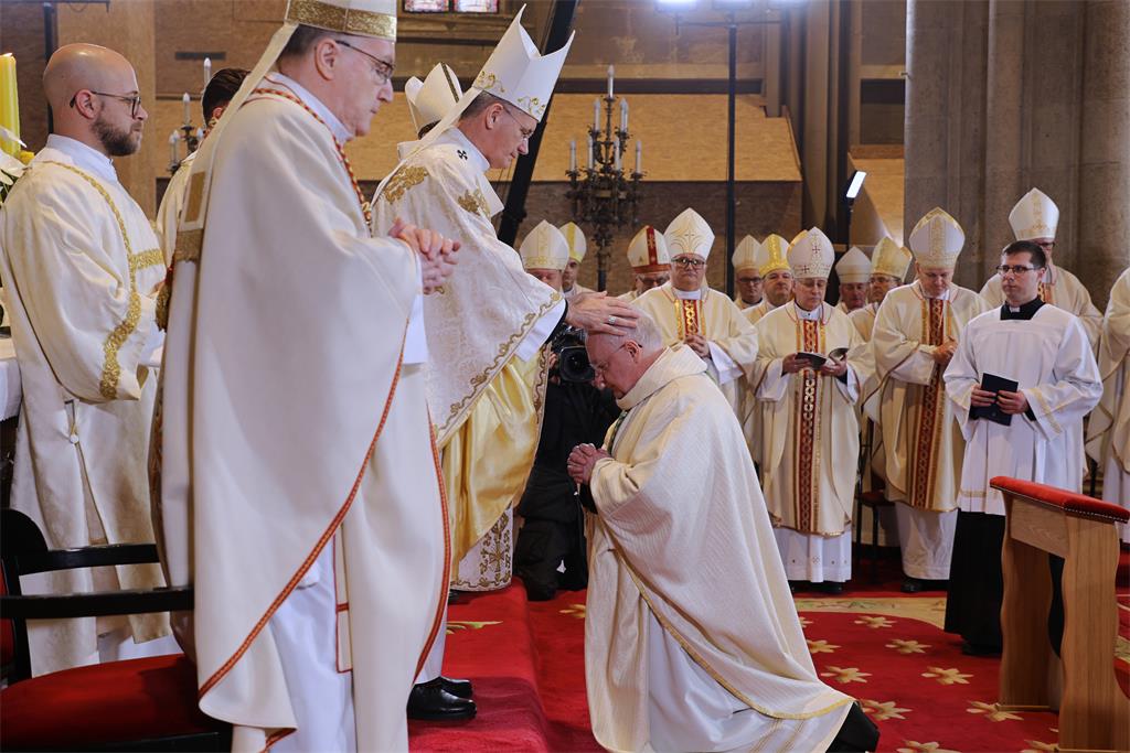 260131 Biskupsko redenje TUZN D2 9