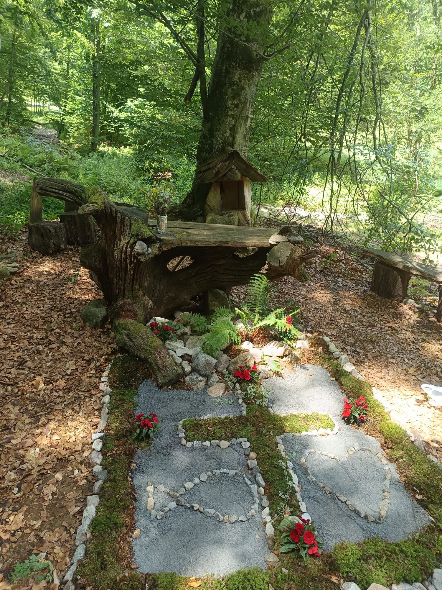 kamp papuk